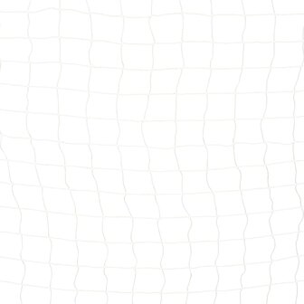 Voetbaldoel 300x160x90 cm metaal zwart en wit