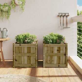Plantenbakken 2 st cm ge&iuml;mpregneerd hout