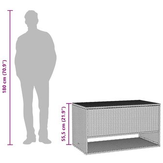 Opbergbox voor buiten 100x55x55,5 cm poly rattan grijs