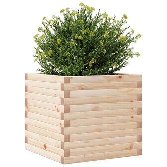 Plantenbak 50x50x45,5 cm massief grenenhout