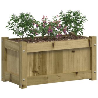 Plantenbakken 2 st cm ge&iuml;mpregneerd hout