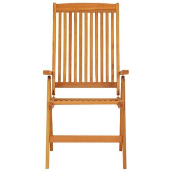 Tuinstoelen 2 st inklapbaar massief eucalyptushout