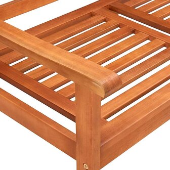 Tuinbank 2-zits met kussen 120 cm massief eucalyptushout