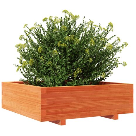 Plantenbak 80x80x26,5 cm massief grenenhout wasbruin