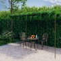 Tuinpergola-6x3x25-m-ijzer-antiekbruin
