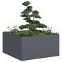 Plantenbak-80x80x40-cm-koudgewalst-staal-antracietkleurig