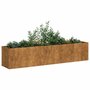 Plantenbak-roestig-200x40x40-cm-weervast-staal