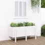 Plantenbak-verhoogd-121x50x57-cm-massief-grenenhout-wit