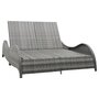 Ligbed-tweepersoons-met-kussen-poly-rattan-antraciet
