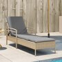 Ligbed-met-kussen-63x200x81-cm-poly-rattan-beige