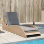 Ligbed-met-kussen-60x205x73-cm-poly-rattan-beige