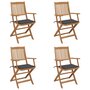 Tuinstoelen-4-st-inklapbaar-met-kussens-massief-acaciahout