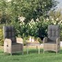 Tuinstoelen-2-st-poly-rattan-grijs